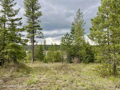 12ac Elizabeth Ln, Athol, ID 83801