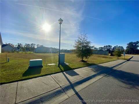 Cy Williams Boulevard, Lumberton, NC 28360