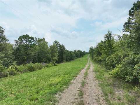 000 Merle Branch LN, Heavener, OK 74937