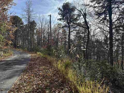 OLD STONY RIDGE RD, AFTON, VA 22920