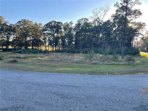 0 Henry Davis Road, Chunchula, AL 36521