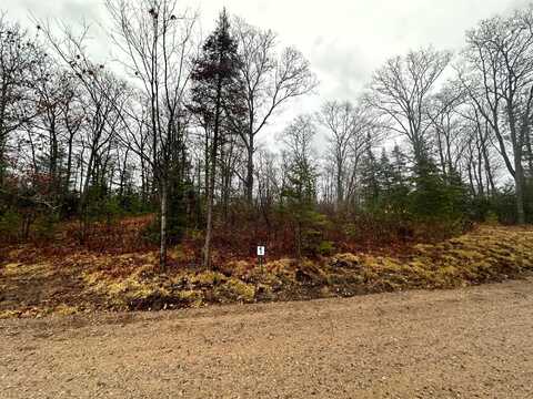 Lot 1 CTH B, Land O Lakes, WI 54540