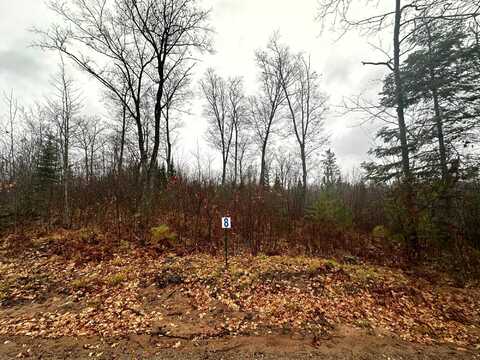 Lot 8 CTH B, Land O Lakes, WI 54540