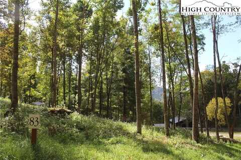 Lot V83 Eagles Nest, Banner Elk, NC 28604