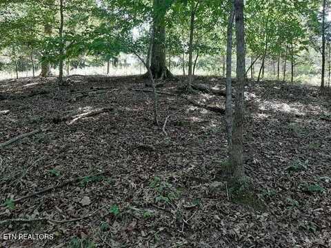 Deer Pond Circle, La Follette, TN 37766