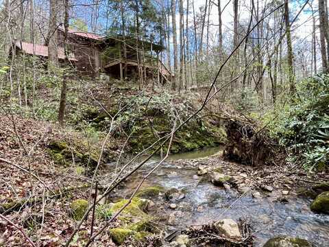 250 TN-107, Del Rio, TN 37727