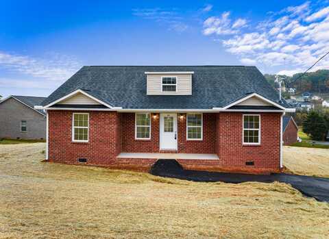 419 Sulphur Court, Kodak, TN 37764