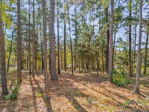 Tbd Bob White Drive, Gilmer, TX 75645