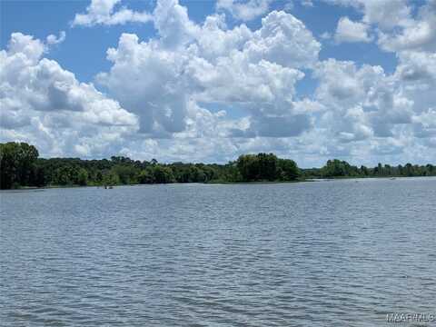 13 Riverview Landing Drive, Camden, AL 36726