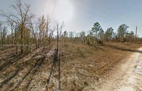 Lot 23 NE 15th Ln, Williston, FL 32696