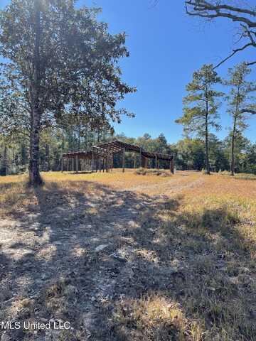 172 Bolen Bryant Road, Lucedale, MS 39452