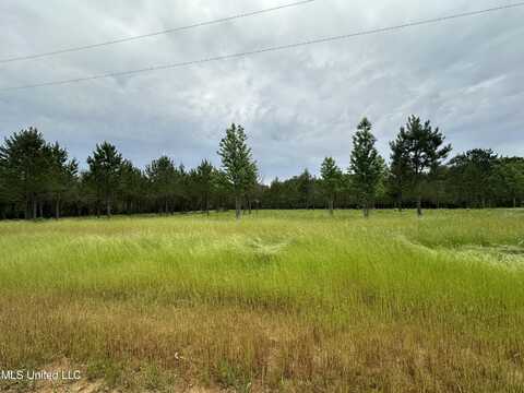 Stout Farms Drive, Canton, MS 39046