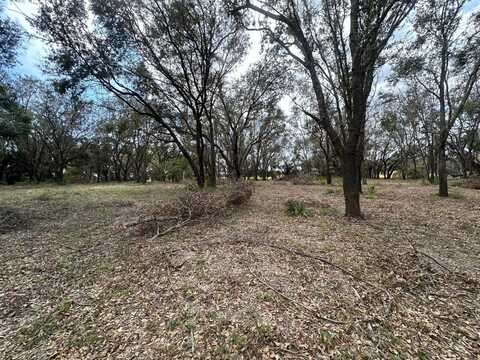 4903 INDIGO ROAD, GROVELAND, FL 34736