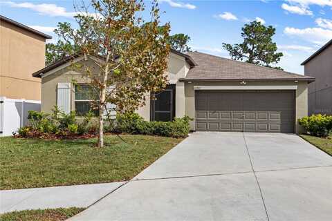 12907 WILDFLOWER MEADOW DRIVE, RIVERVIEW, FL 33579