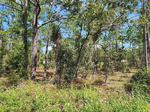 Tbd SW RIDGEWOOD ROAD, DUNNELLON, FL 34431