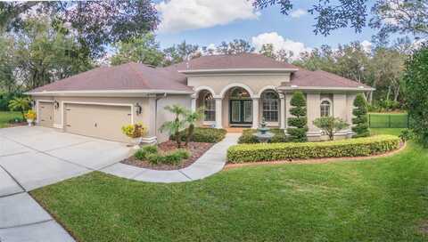 15802 SORAWATER DRIVE, LITHIA, FL 33547