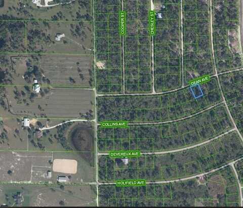 3236 DEAN AVENUE, LAKE PLACID, FL 33852