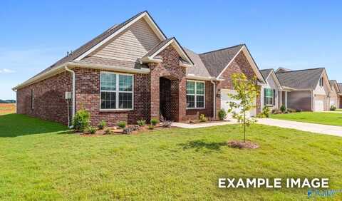 105 Cowdray Circle, Toney, AL 35773