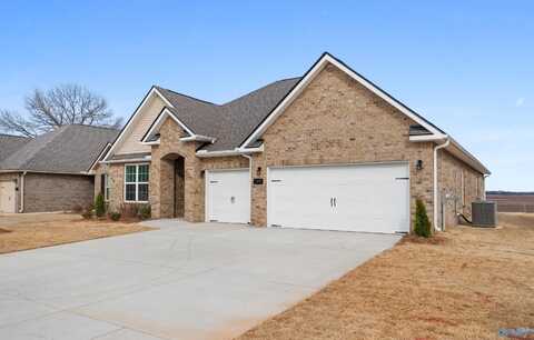 105 Cowdray Circle, Toney, AL 35773