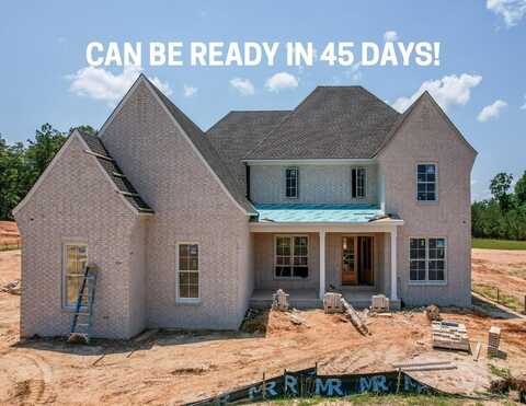 817 McCleary Dr, Oxford, MS 38655