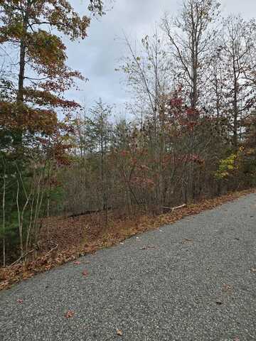 Beaver Ridge Road, Blairsville, GA 30512