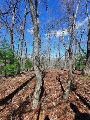Lot # 7 Quail Run Ridge, Murphy, NC 28906
