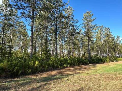 xxx Cathedral Pines Drive, Sturgeon Lake, MN 55783