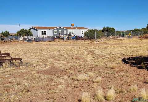 1769 St. Johns Road, Quemado, NM 87829