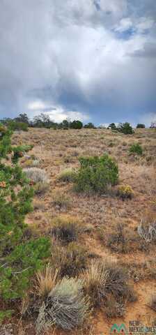 Tbd Meadows Road, Mcgaffey, NM 87301