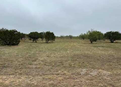 470 Frog Branch Court, Graford, TX 76449