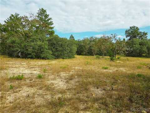 9097 N Peewee Point, Dunnellon, FL 34433