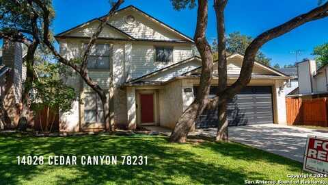 14028 Cedar Canyon Drive, San Antonio, TX 78231