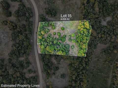 TBD Wendy Lane - Lot 15, Round Top, TX 78954