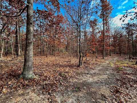 2 Tract 2 Highway VV, Licking, MO 65542