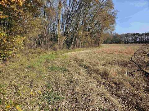 40 +/- Acres Willow Street, Arena, WI 53503