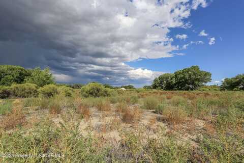 353c ROAD 4990, Bloomfield, NM 87413