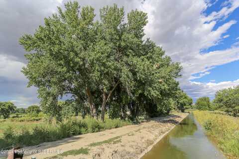 353b ROAD 4990, Bloomfield, NM 87413