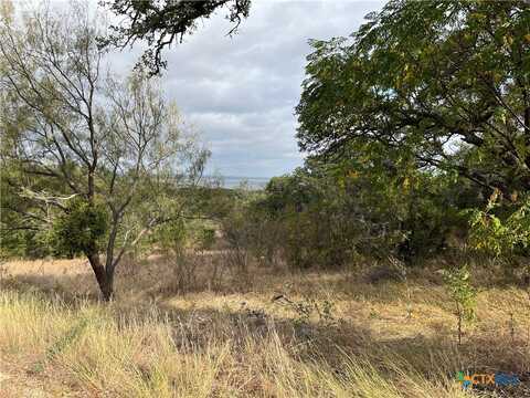 36 Keystone Ridge, Buchanan Dam, TX 78609