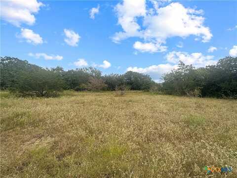 33+/- Davis Road, Flatonia, TX 78941