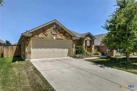 3667 Rosalina Loop, Round Rock, TX 78665