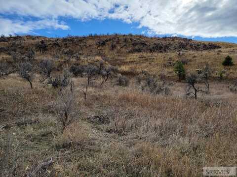 Nkn E Tower Creek Road, Carmen, ID 83467