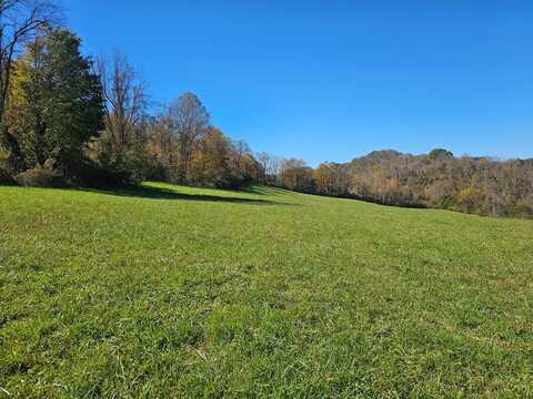 Tbd Wildwood Drive, Cedar Bluff, VA 24609