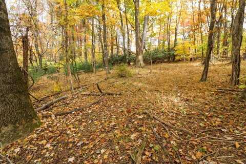 Lot 133 Old Hollow Trail, Fancy Gap, VA 24328