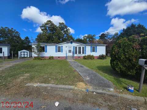 300 Horace Ward Avenue, Windsor, NC 27983