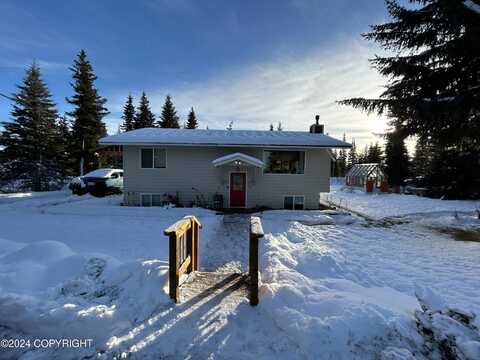 34581 N Fork Road, Anchor Point, AK 99556