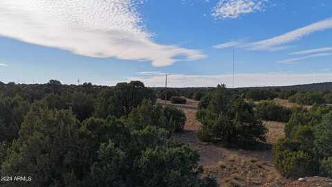 28 COUNTY ROAD 8021 --, Concho, AZ 85924