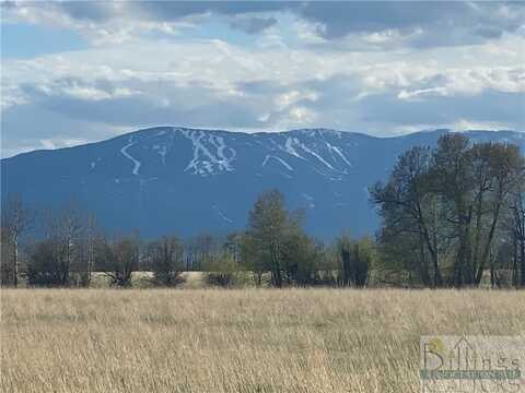 Lot 48 Buttercup Drive, Roberts, MT 59070