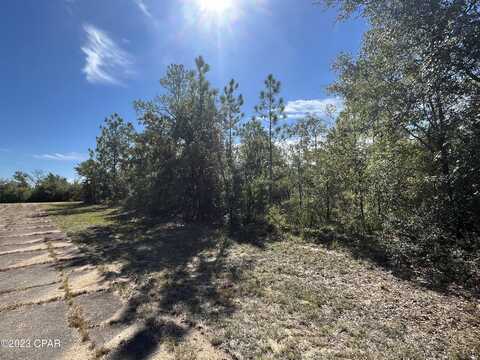 Lot 8 Regent, Chipley, FL 32428