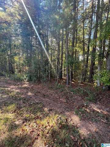 1 acre COUNTY ROAD 19, WOODLAND, AL 36280