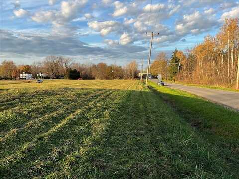 Butts Road, Albion, NY 14411